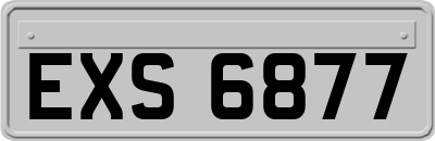 EXS6877