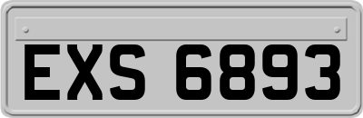 EXS6893