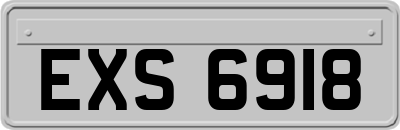 EXS6918