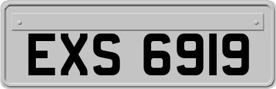 EXS6919