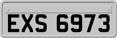EXS6973