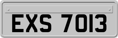 EXS7013