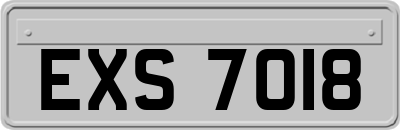 EXS7018