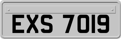 EXS7019