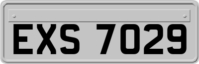 EXS7029