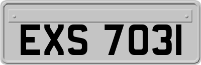 EXS7031