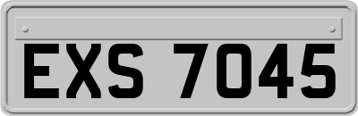 EXS7045
