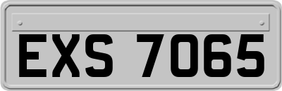 EXS7065