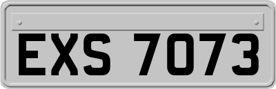 EXS7073