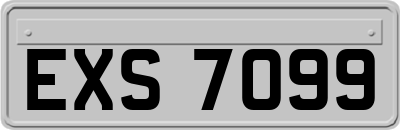 EXS7099