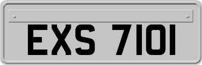 EXS7101