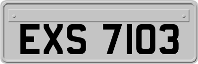 EXS7103