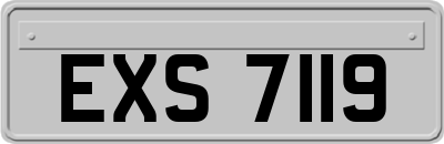 EXS7119
