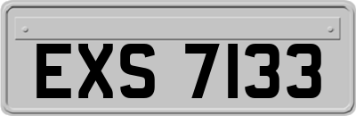 EXS7133