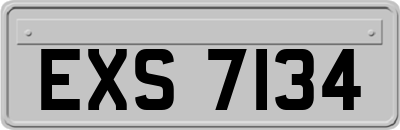 EXS7134