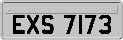 EXS7173