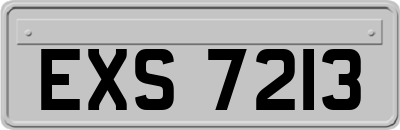 EXS7213