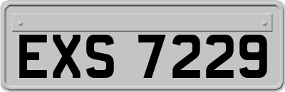 EXS7229