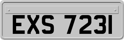 EXS7231