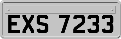 EXS7233