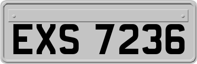 EXS7236