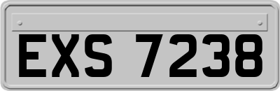 EXS7238