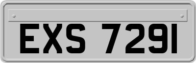 EXS7291