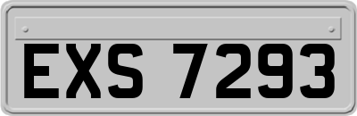 EXS7293