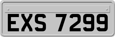 EXS7299
