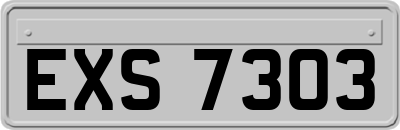 EXS7303