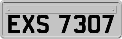 EXS7307