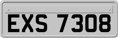 EXS7308