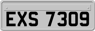 EXS7309