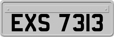 EXS7313