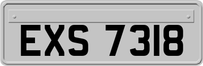 EXS7318