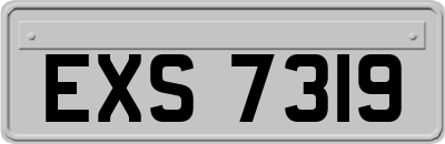 EXS7319