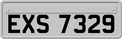EXS7329
