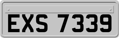 EXS7339