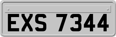EXS7344