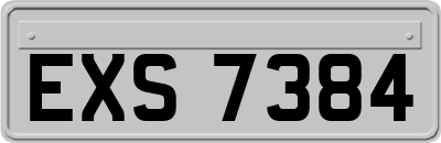EXS7384