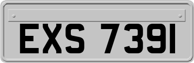 EXS7391