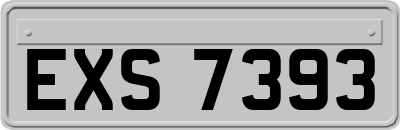 EXS7393