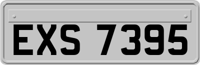 EXS7395