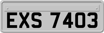 EXS7403