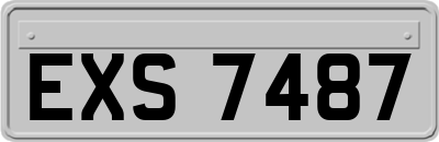 EXS7487