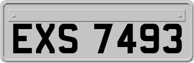 EXS7493