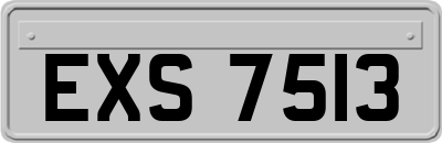 EXS7513