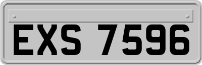 EXS7596