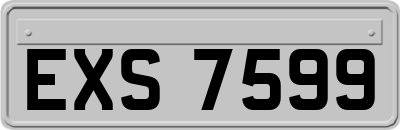 EXS7599