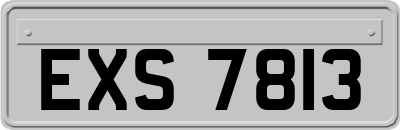 EXS7813
